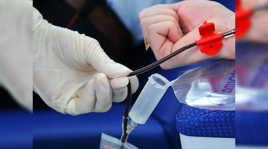  &copy;&nbsp;Елена Синеок, ЮГА.ру