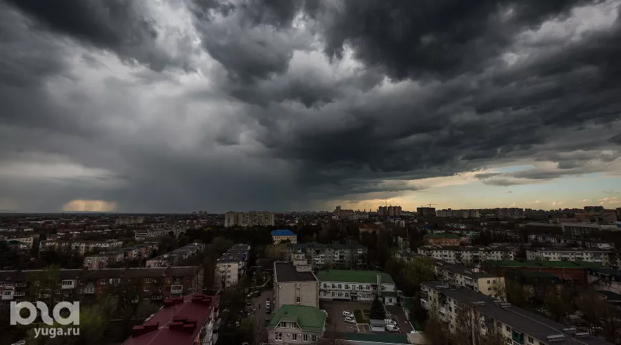  &copy;&nbsp;Фото Елены Синеок, Юга.ру