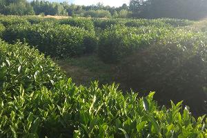  © Фото Юга.ру