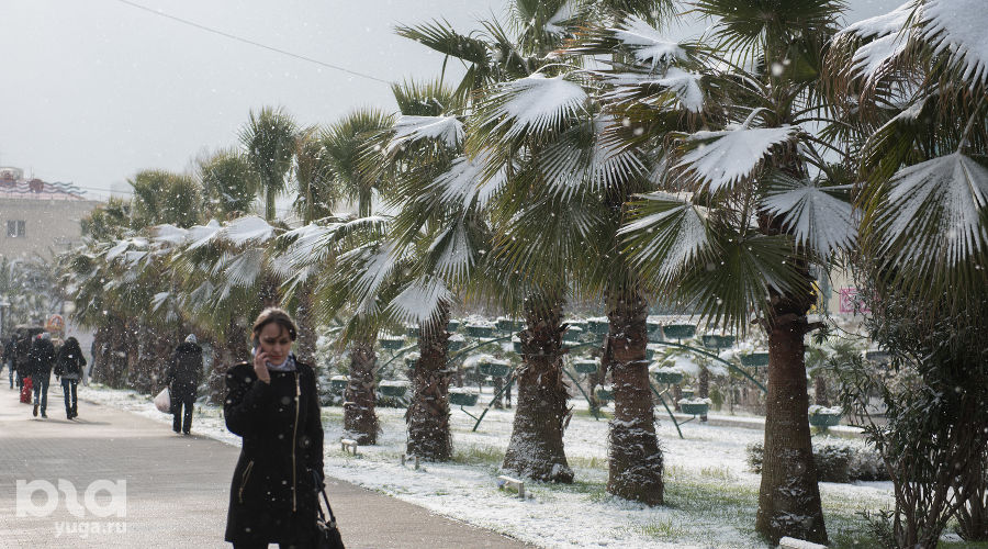  &copy;&nbsp;Фото Нины Зотиной, Юга.ру