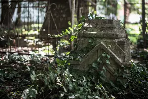 Еврейское кладбище Краснодара &copy;&nbsp;Фото Елены Синеок, Юга.ру