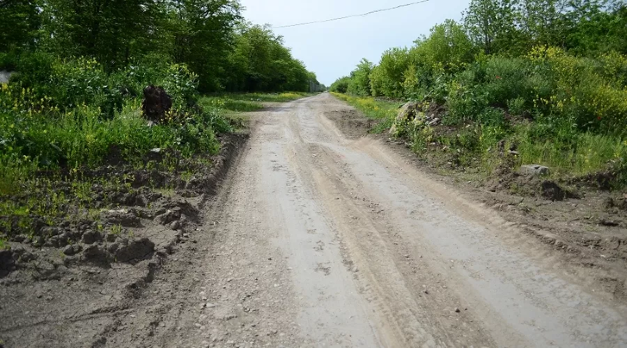  &copy;&nbsp;Фото пресс-службы мэрии Краснодара