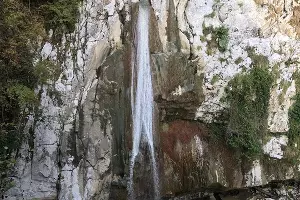  &copy;&nbsp;Фото Сочинского нацпарка