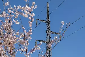  &copy;&nbsp;Фото пресс-службы ПАО &laquo;Кубаньэнерго&raquo;