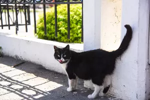  &copy;&nbsp;Фото Елены Синеок, Юга.ру