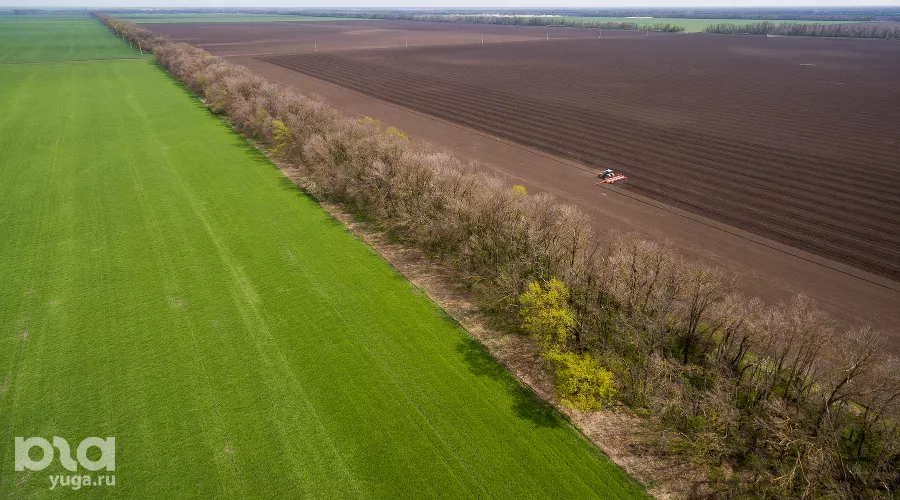  &copy;&nbsp;Фото Виталия Тимкива, Юга.ру