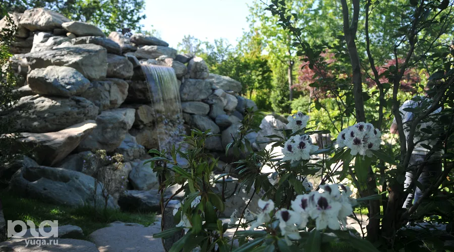 Весна в Японском саду парка «Краснодар» &copy;&nbsp;Фото Марины Солошко, Юга.ру