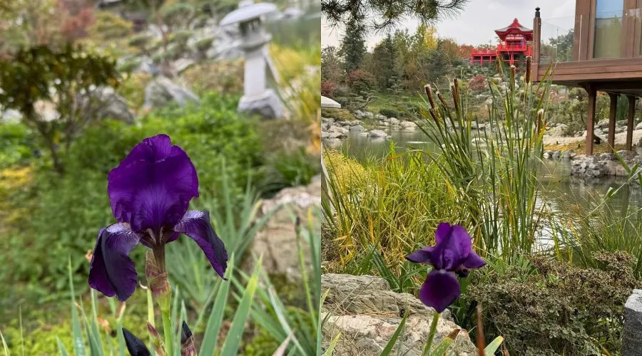  &copy;&nbsp;Скриншот фото из телеграм-канала &laquo;парк Краснодар&raquo; https://t.me/parkkrd/2820