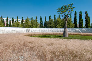 Бутылочное дерево на фоне скульптурной композиции «Искусственная среда» в парке «Краснодар» © Фото Дмитрия Пославского, Юга.ру