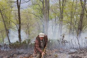  © Фото пресс-службы Сочинского национального парка