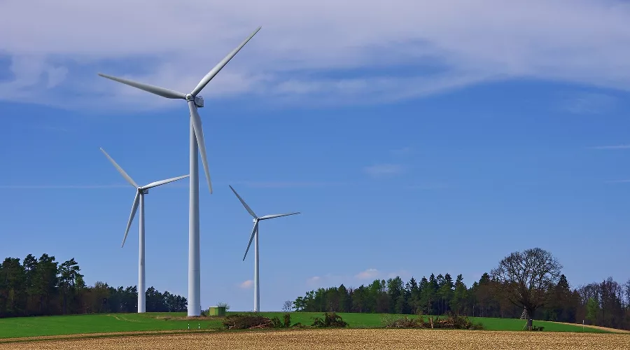  &copy;&nbsp;Фото с сайта pixabay.com