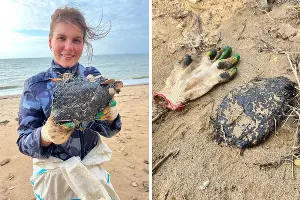 Мазут у косы Тузла в Керченском проливе, снято 7 января 2026 года &copy;&nbsp;Скриншоты фото из телеграм-канала штаба &laquo;Дельфины&raquo;