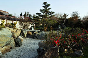Японский сад в парке «Краснодар» весной © Фото Марины Солошко, Юга.ру