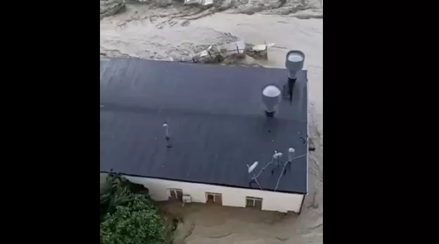  &copy;&nbsp;Кадр из видео t.me/wcups