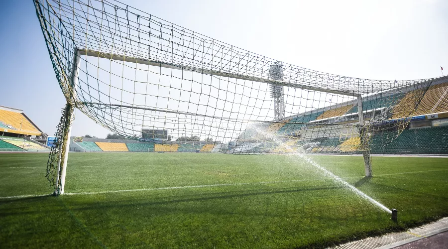  &copy;&nbsp;Фото Елены Синеок, Юга.ру