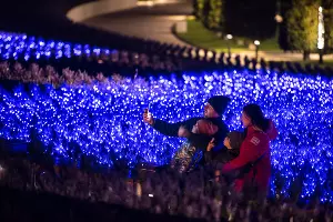 Парк «Краснодар»  с новогодней подсветкой &copy;&nbsp;Фото Елены Синеок, Юга.ру