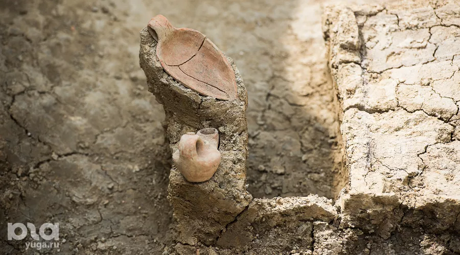  &copy;&nbsp;Фото Елены Синеок, Юга.ру