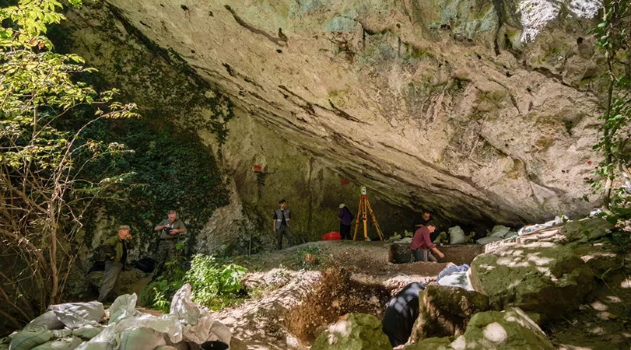  &copy;&nbsp;Скриншот фото со страницы Вконтакте &laquo;Субтропический научный центр РАН&raquo;