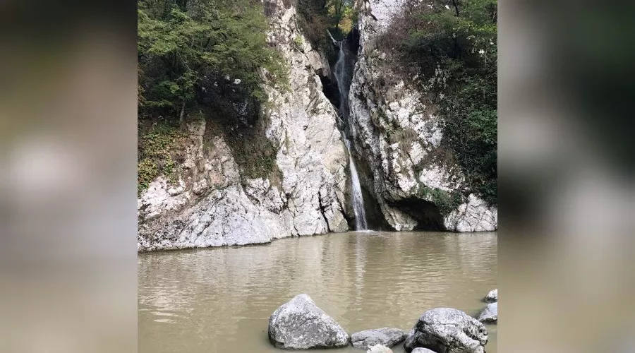  &copy;&nbsp;Фото пресс-службы Сочинского нацпарка