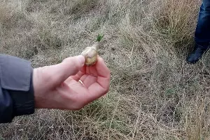 Комиссия обследует территорию в районе Прилагунья &copy;&nbsp;Фото Татьяны Трибрат
