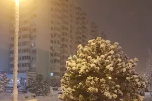  &copy;&nbsp;Фото Анастасии Щегловой, Юга.ру