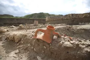  &copy;&nbsp;Изображение пресс-службы фонда &laquo;Вольное дело&raquo;