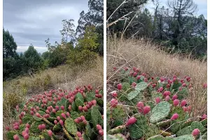  &copy;&nbsp;Скриншот из телеграм-канала &laquo;Новороссийск Life&raquo; https://t.me/life_nvrsk/28642