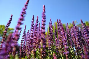  &copy;&nbsp;Фото Марины Солошко, Юга.ру