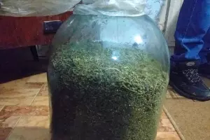  &copy;&nbsp;Фото пресс-службы ГУ МВД РФ по Ставропольскому краю