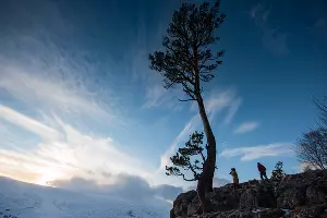 За снегом на Volkswagen Teramont &copy;&nbsp;Фото Елены Синеок, Юга.ру