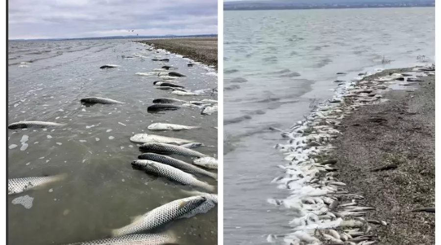  &copy;&nbsp;Скриншот из телеграм-канала &laquo;KRD_eXplorer&raquo; https://t.me/krd_exp/204