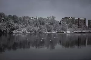 Снег в Краснодаре &copy;&nbsp;Фото Елены Синеок, Юга.ру