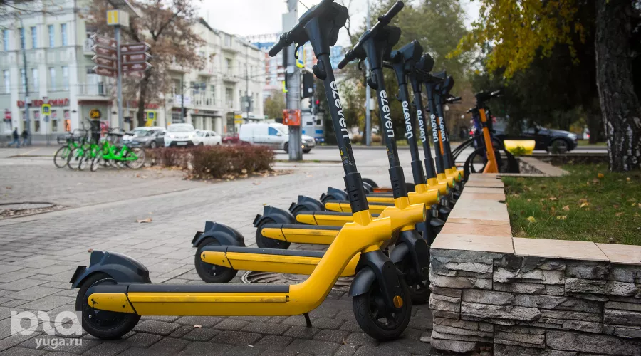  &copy;&nbsp;Фото Елены Синеок, Юга.ру