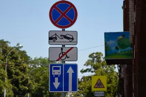  &copy;&nbsp;Фото Елены Синеок, Юга.ру