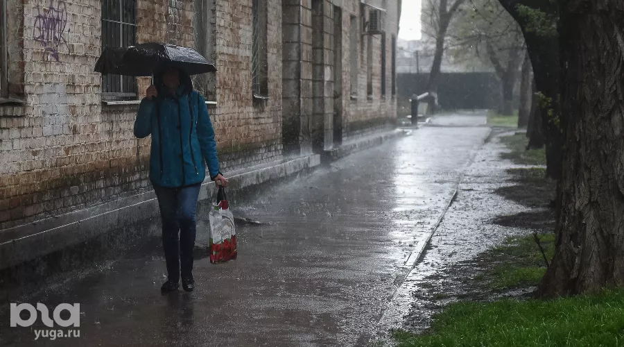  &copy;&nbsp;Фото Елены Синеок, Юга.ру