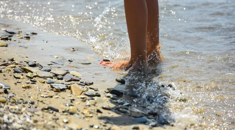  &copy;&nbsp;Фото Елены Синеок, Юга.ру