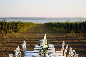  &copy;&nbsp;Фото пресс-службы винодельни Golubitskoe Estate, instagram.com/golubitskoe_estate