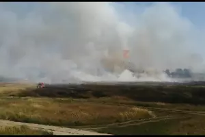  &copy;&nbsp;Скриншот из видео паблика &laquo;Типичный Краснодар&raquo;, https://vk.com/typical_krd