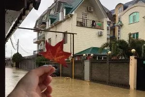  &copy;&nbsp;Фото из телеграм-канала &laquo;Люьимый Сочи&raquo;, t.me/love_sochi