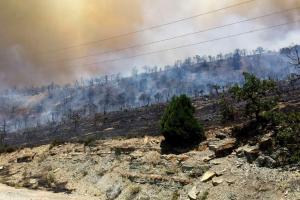  © Скриншот из телеграм-канала https://t.me/ciaec/386