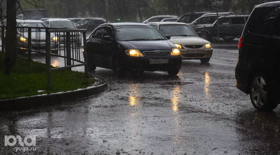  &copy;&nbsp;Фото Елены Синеок, Юга.ру