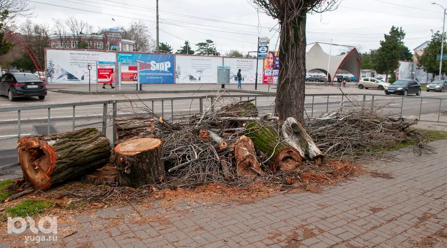  &copy;&nbsp;Фото Дмитрия Пославского, Юга.ру