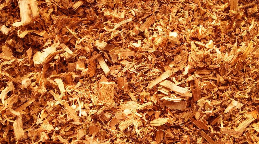 опилки &copy;&nbsp;Изображение сгенерировано нейросетью Gigachat