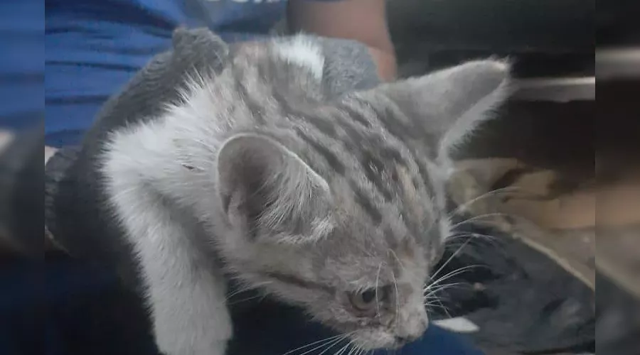  &copy;&nbsp;Фото Алексея Одерова instagram.com/alekseioderov