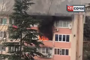  &copy;&nbsp;Скриншот видео со страницы &laquo;ЧП Сочи&raquo;, www.instagram.com/chp_sochi