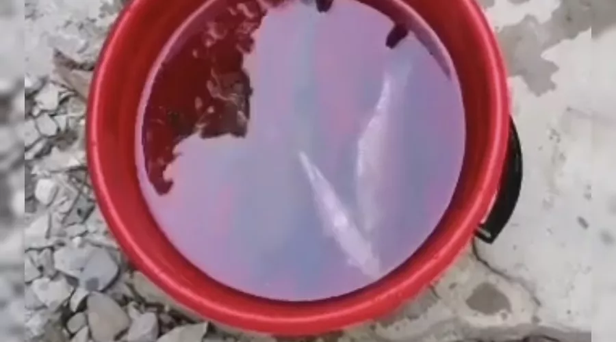  &copy;&nbsp;Скриншот видео из телеграм канала Сочинского нацпарка, t.me/npsochi_official