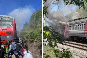  &copy;&nbsp;Коллаж из скриншотов фото из телеграм-канала &laquo;ЧП Краснодар&raquo;