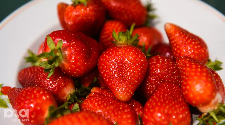  &copy;&nbsp;Фото Елены Синеок, Юга.ру