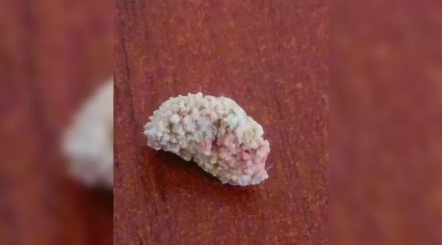  &copy;&nbsp;Фото пресс-службы минздрава Краснодарского края