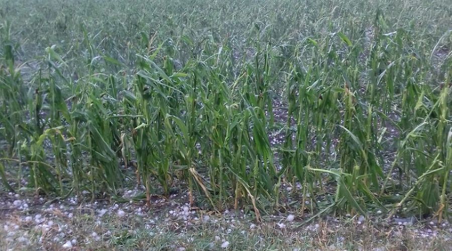  © Фото пресс-службы ПАО «Кубаньэнерго»